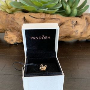 Kitten Pandora Charm